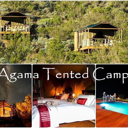 Agama Tented Camp Garies Exterior photo
