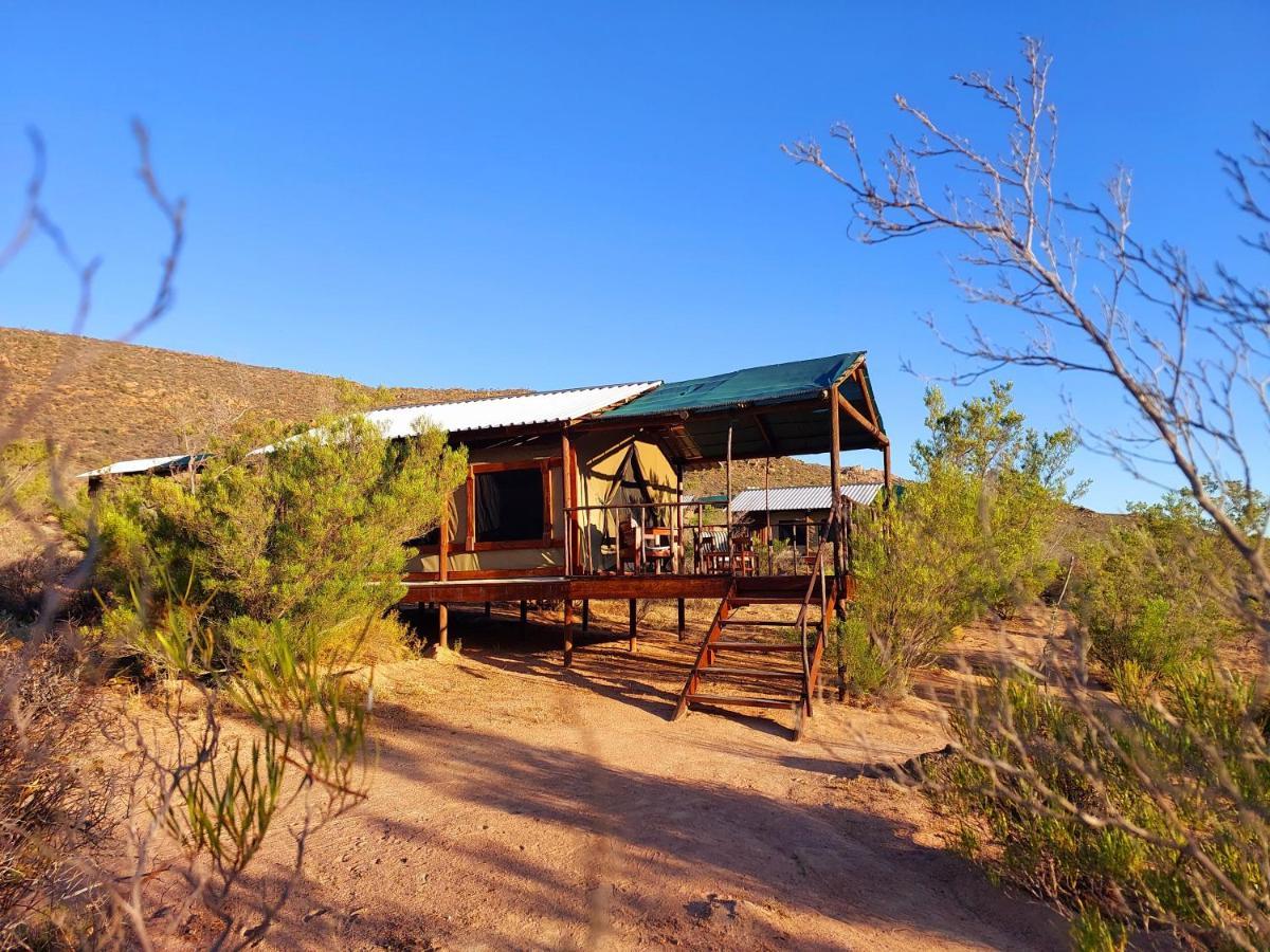 Agama Tented Camp Garies Exterior photo
