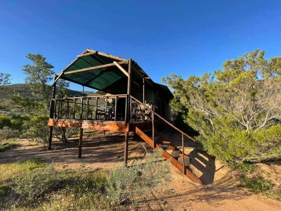 Agama Tented Camp Garies Exterior photo