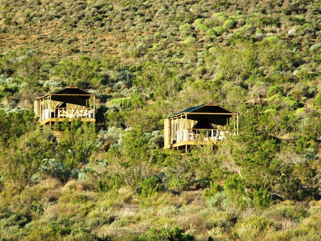 Agama Tented Camp Garies Exterior photo
