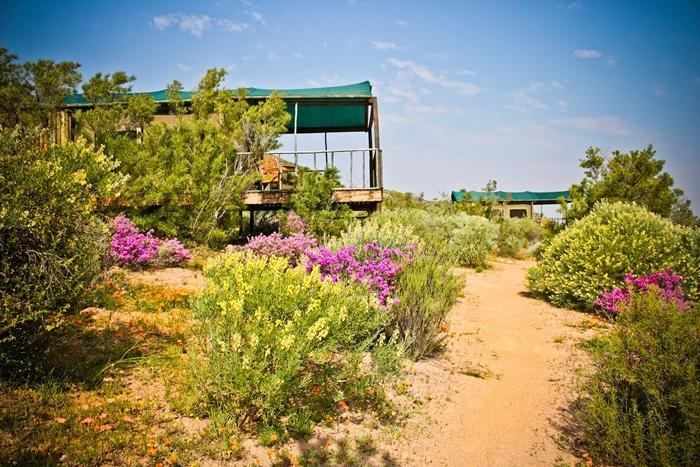 Agama Tented Camp Garies Exterior photo
