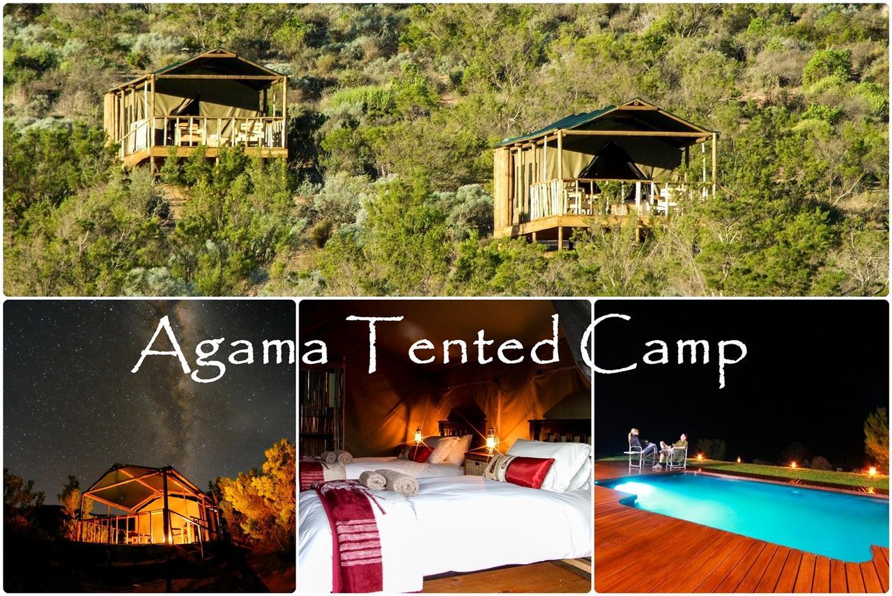 Agama Tented Camp Garies Exterior photo